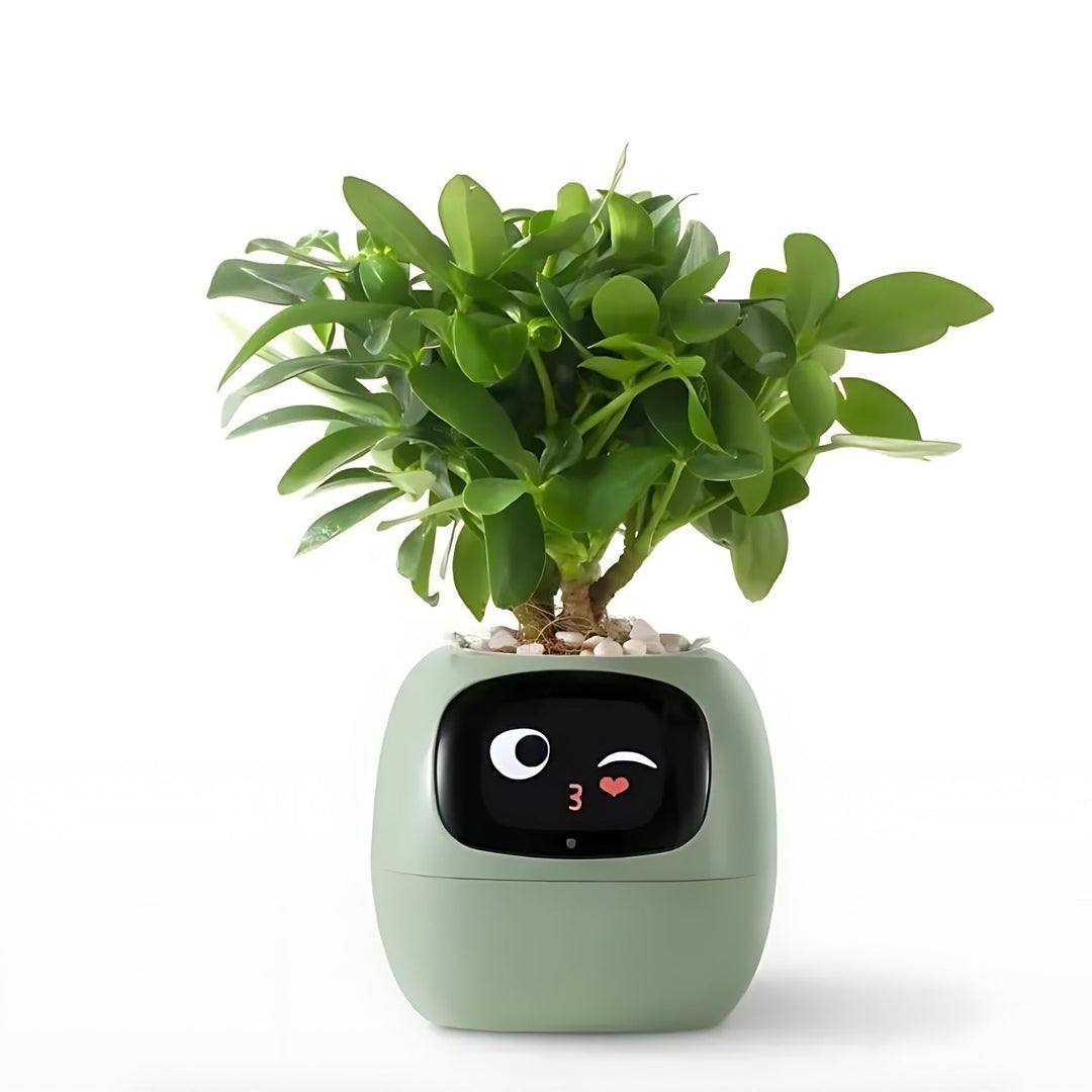 Smart Plant Pot | Self-Watering Flower Pot with App &amp; Emoji Alerts