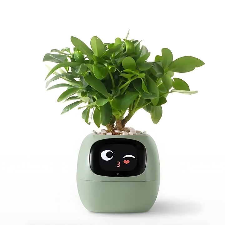 Smart Plant Pot | Self-Watering Flower Pot with App &amp; Emoji Alerts
