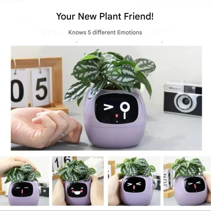 Smart Plant Pot | Self-Watering Flower Pot with App &amp; Emoji Alerts