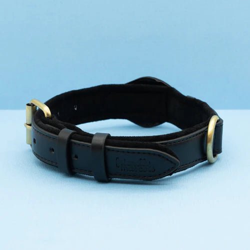 Smart Tracker Dog Collar | Adjustable Waterproof for Pet Safety 1