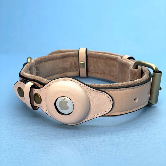 Smart Tracker Dog Collar | Adjustable Waterproof for Pet Safety 4