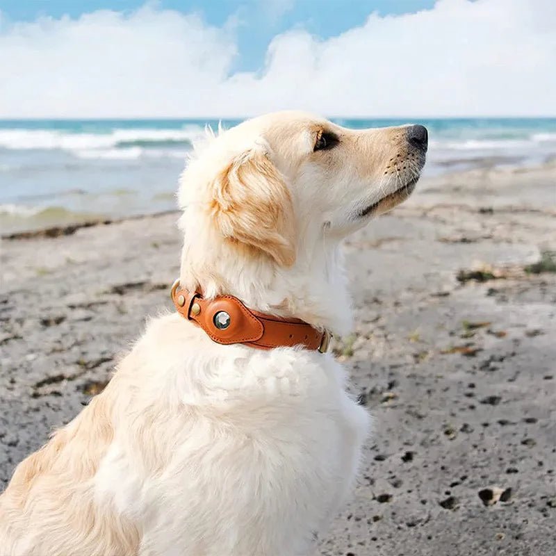 Smart Tracker Dog Collar | Adjustable Waterproof for Pet Safety 6