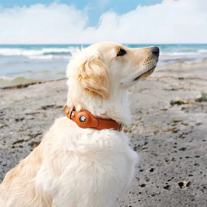 Smart Tracker Dog Collar | Adjustable Waterproof for Pet Safety 6