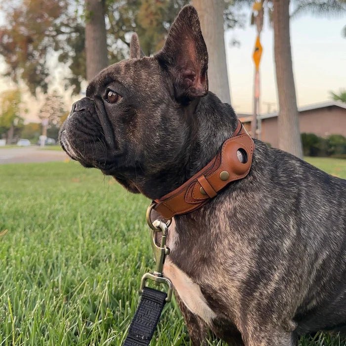 Smart Tracker Dog Collar | Adjustable Waterproof for Pet Safety 7