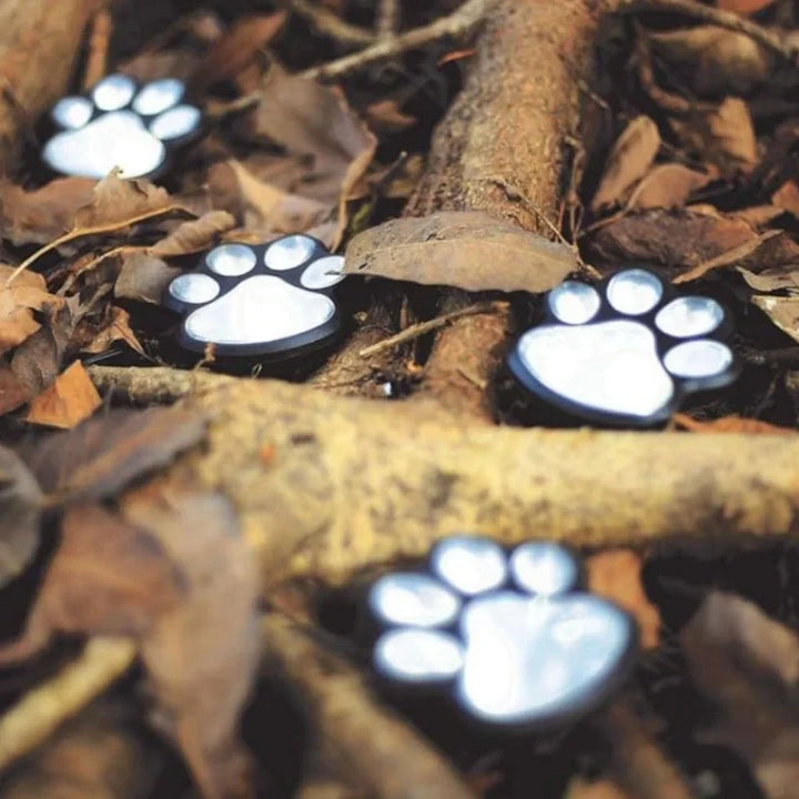 Solar Paw Print Pathway Light | 9 x 9 cm, Up to 10 Hours Runtime | IP44 Weather-Resistant with Automatic Dusk Sensor