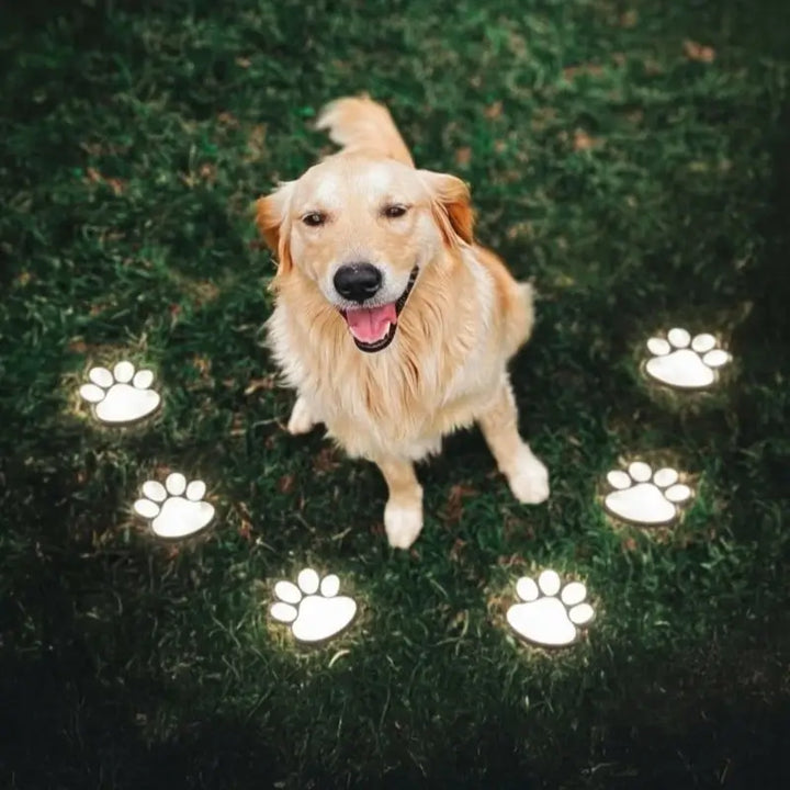 Solar Paw Print Pathway Light | 9 x 9 cm, Up to 10 Hours Runtime | IP44 Weather-Resistant with Automatic Dusk Sensor