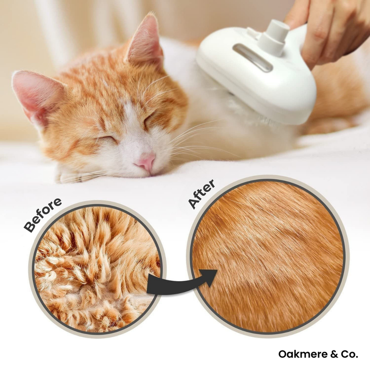 Steam Pet Grooming Brush | Suitable for Short, Long, Curly &amp; Thick Coats | Ultra-Quiet, Reduces Shedding by up to 95%