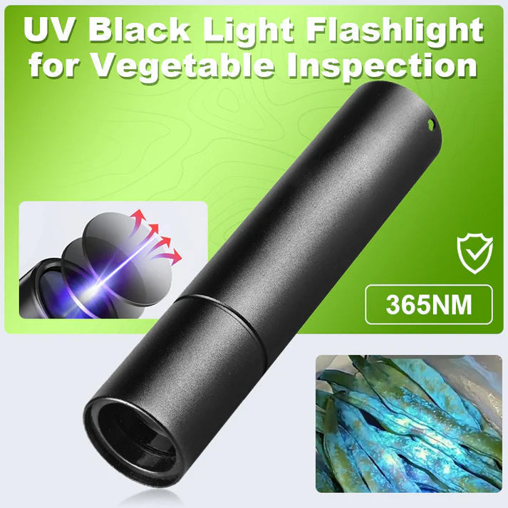 UV Flashlight | 365nm Blacklight Compact Torch