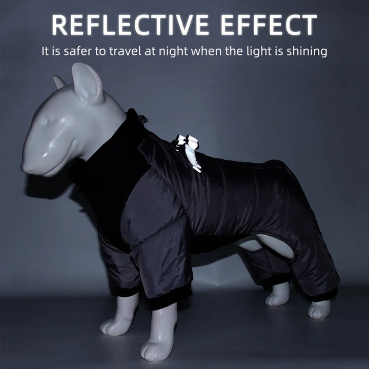 Waterproof Dog Jacket for Winter | Adjustable Fit with Insulated Lining | Windproof Shell for Small and Medium Breeds