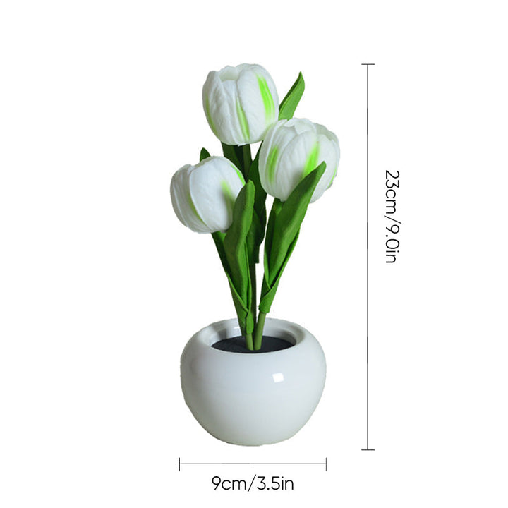 Mood Lighting Table Lamp Tulip Ceramic Pot USB Powered with Warm Glow 14