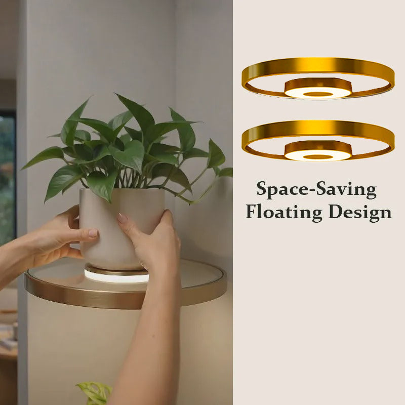 Round Floating Wall Shelf LED Light Rechargeable USB 5