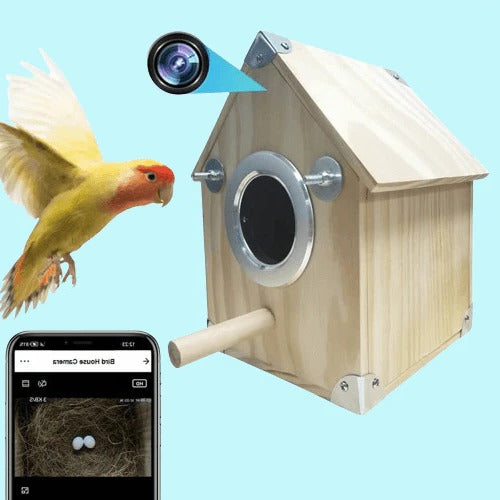 Bird Nest Box Camera Wooden | 4MP Night Vision with Motion Detection | Weatherproof for Outdoor Birdwatching Use 1