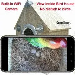 Bird Nest Box Camera Wooden | 4MP Night Vision with Motion Detection | Weatherproof for Outdoor Birdwatching Use 6