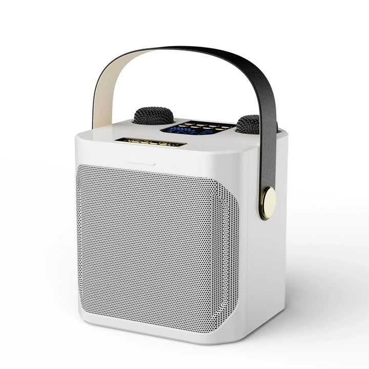 Karaoke Bluetooth Speaker with Dual Microphones | 360° Surround Sound &amp; Built-In Subwoofer | Up to 8 Hours Battery Life 5