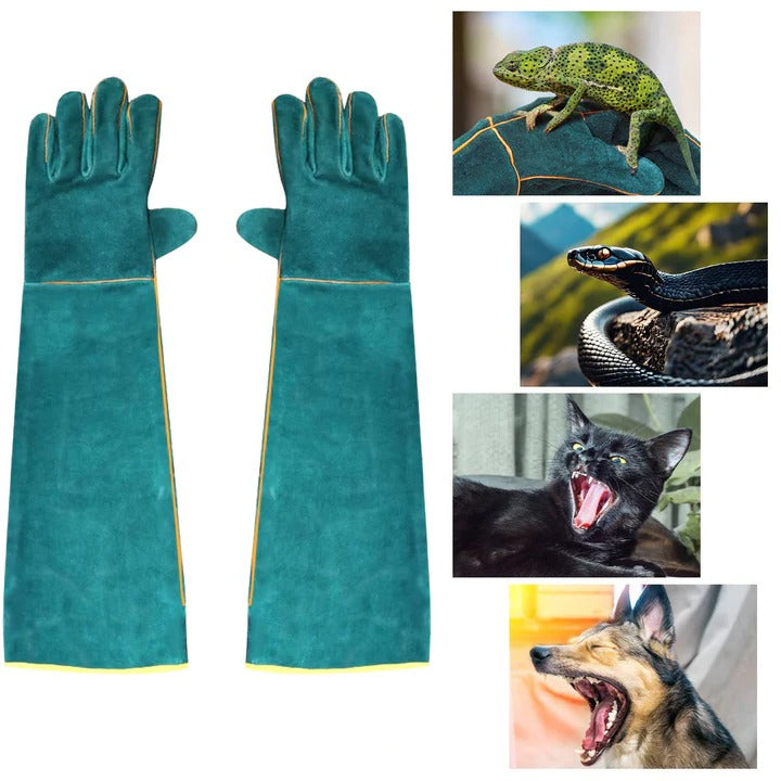 Animal Handling Gloves Thickened Cowhide Leather | Extended Forearm Cuff | Scratch Resistant, Flexible Five-Finger Design 2