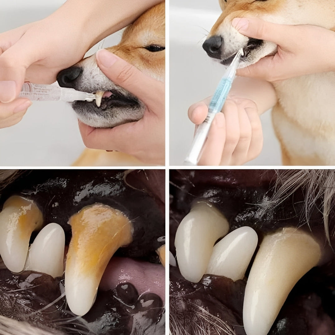 Pet Teeth Cleaning Formula | Plant-Based Liquid with Mint, Aloe Vera and Enzymes | Supports Fresh Breath and Gum Care 2