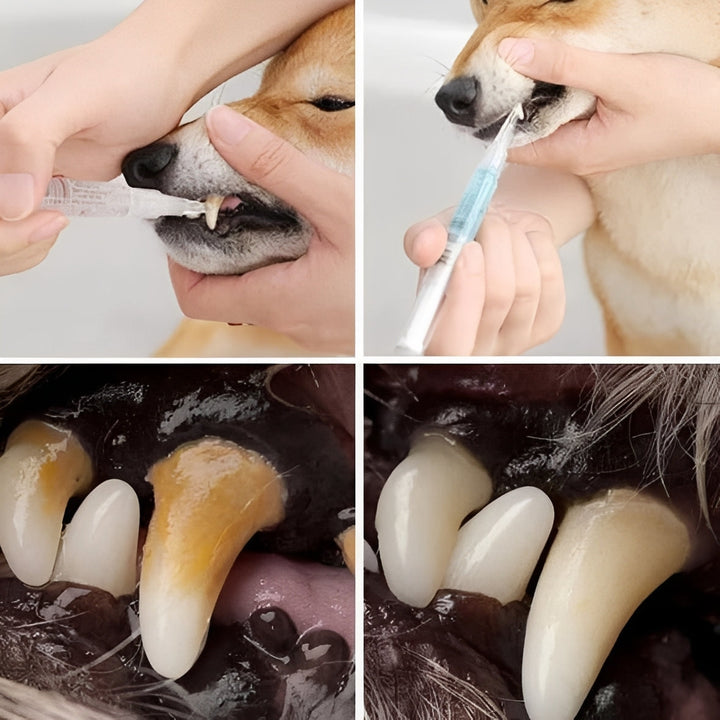 Pet Teeth Cleaning Formula | Plant-Based Liquid with Mint, Aloe Vera and Enzymes | Supports Fresh Breath and Gum Care 2