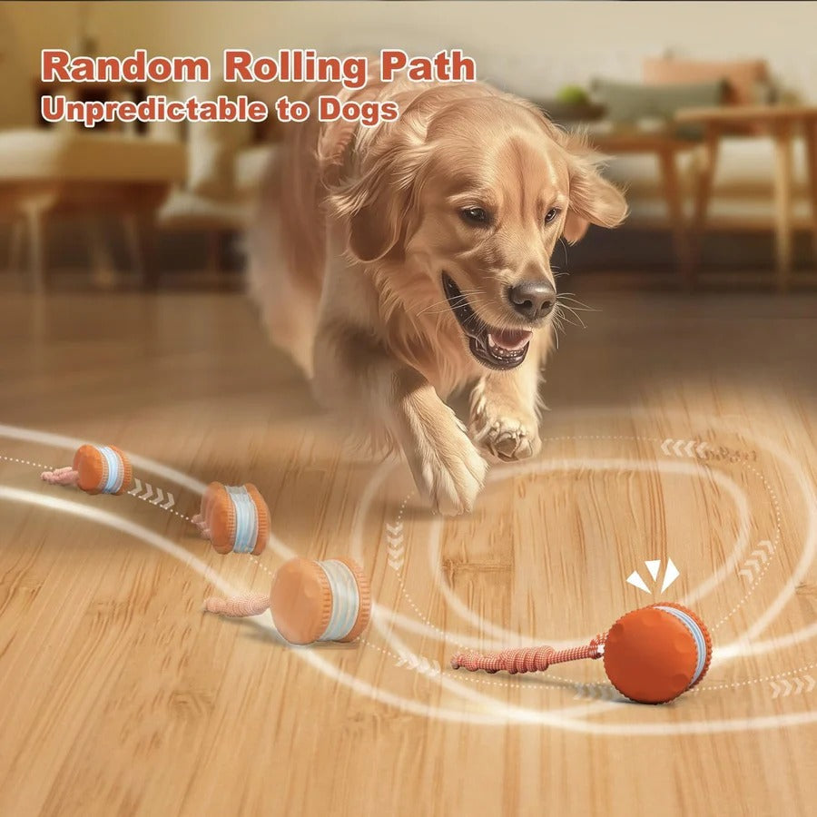 Interactive Rolling Dog Ball Toy | Motion Sensor, Two Speed Modes &amp; Rope Tug | Chew-Resistant, Auto Standby Mode 2