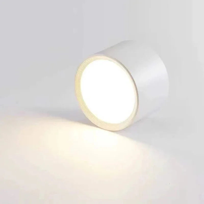 Adjustable LED Ceiling Spotlight Dimmable Swivel Downlight 7