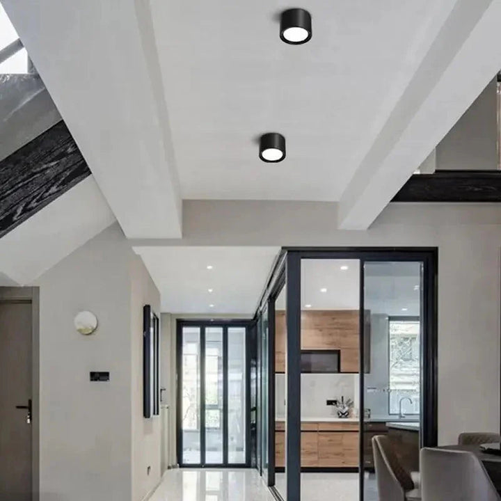 Adjustable LED Ceiling Spotlight Dimmable Swivel Downlight 2