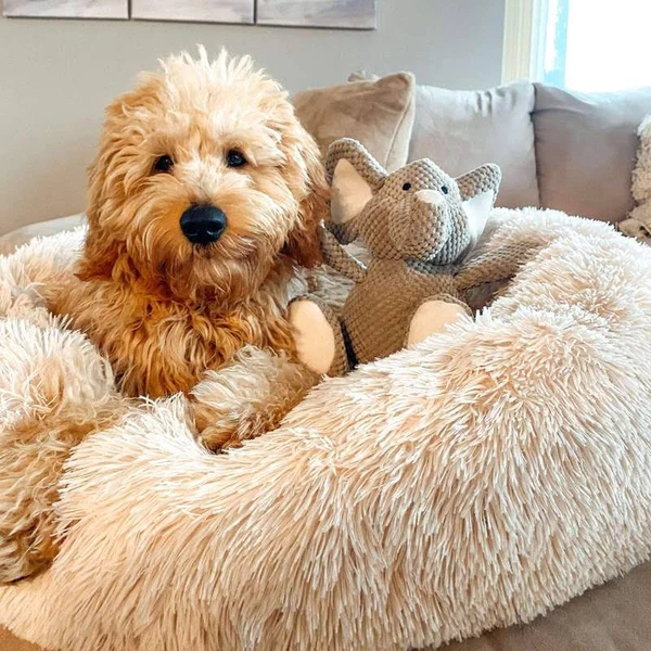 Plush Dog Bed Raised Edges Nest-Style Donut with Orthopedic Support 3