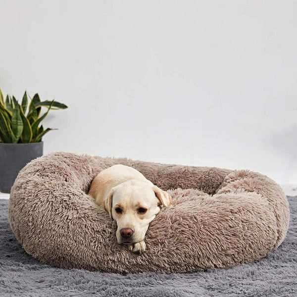 Plush Dog Bed Raised Edges Nest-Style Donut with Orthopedic Support 4