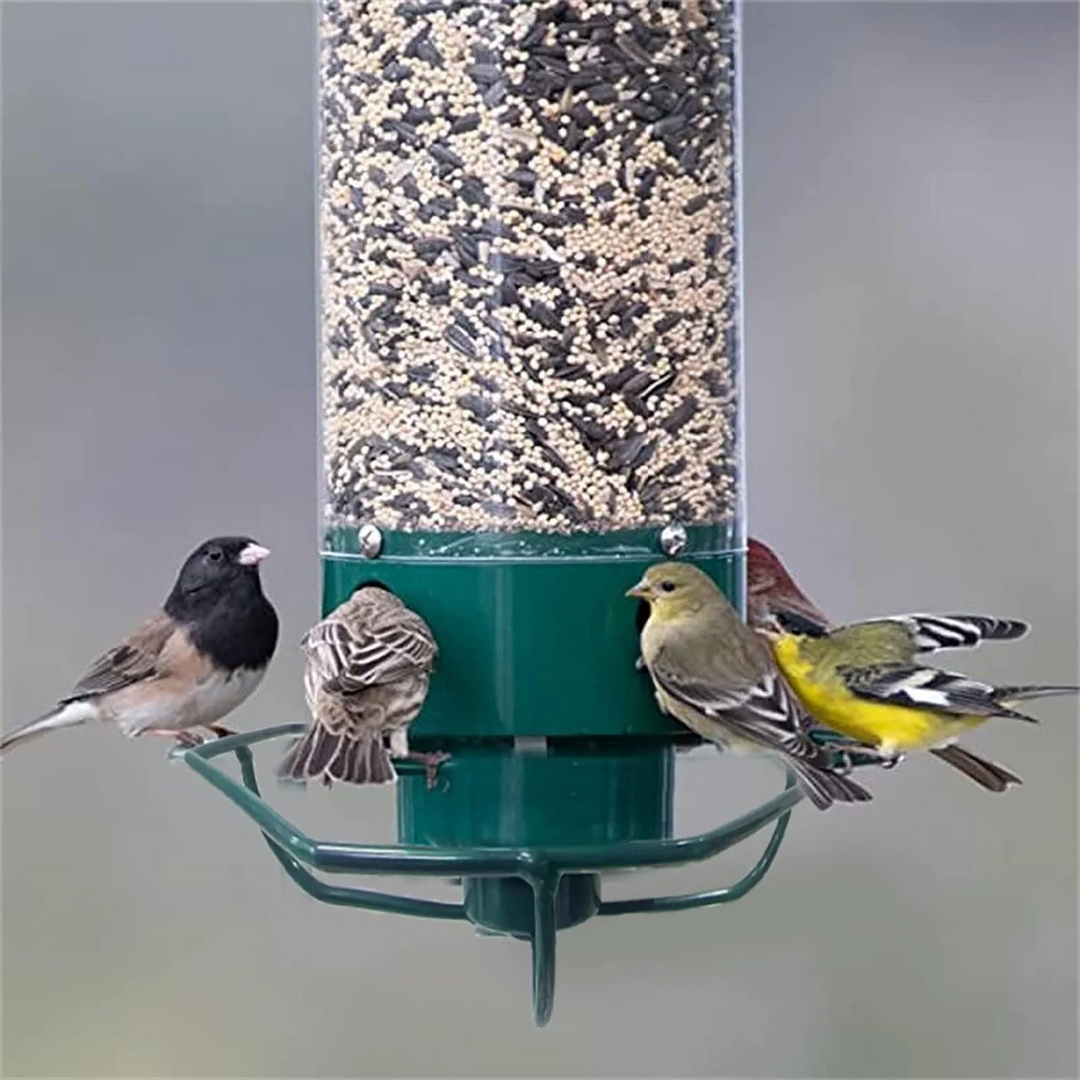 Squirrel Proof Bird Feeder Metal | Rotating Perch Spins Off Squirrels | Weatherproof Men&
