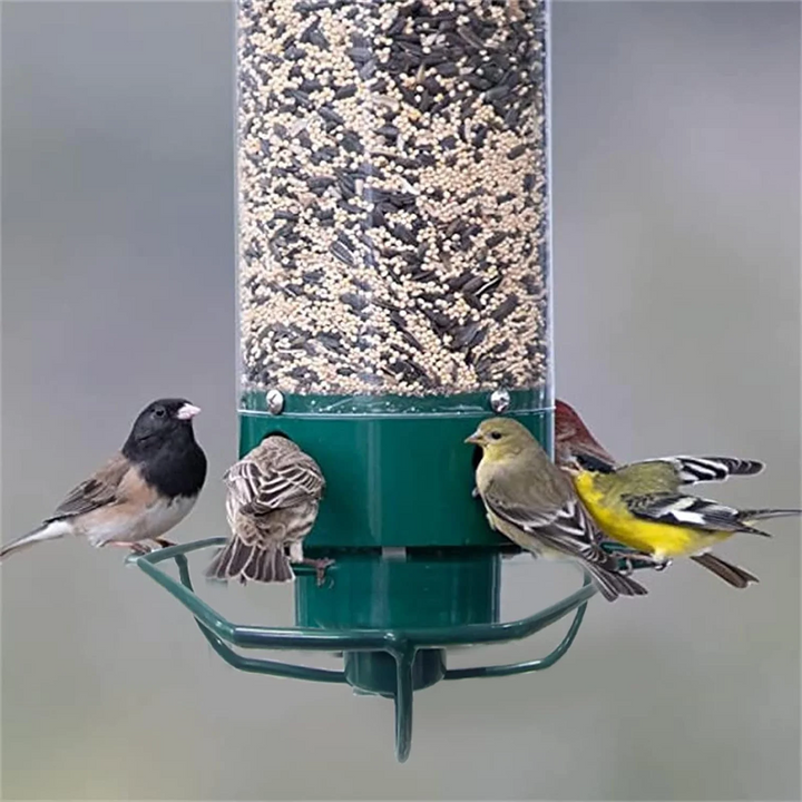 Squirrel Proof Bird Feeder Metal | Rotating Perch Spins Off Squirrels | Weatherproof Men&
