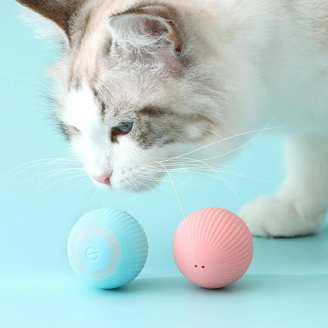 Interactive Cat Ball Toy | Automatic Random Movement &amp; Light Vibration | Stimulates Play, Exercise and Curiosity 1