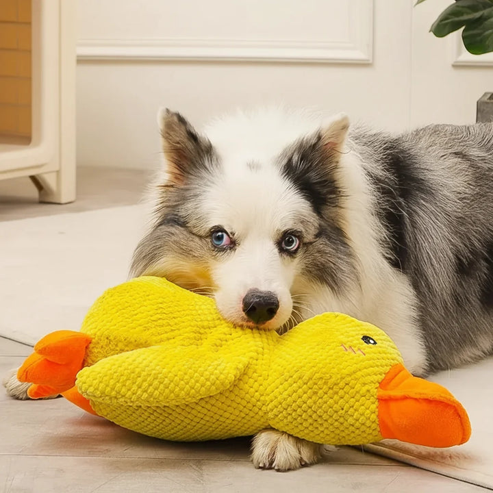 Quacking Duck Dog Toy | Pet-Safe Interactive Chew &amp; Tug Toy | Relieves Boredom, Anxiety and Excess Energy in Dogs 4