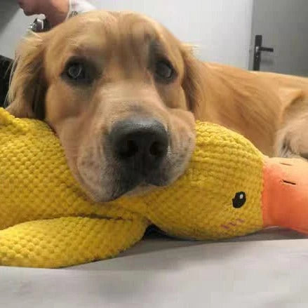 Duck Dog Durable Toy | Squeaky Textured Comfort Duck