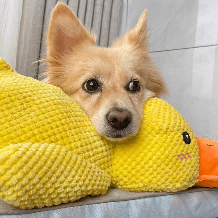 Duck Dog Durable Toy | Squeaky Textured Comfort Duck