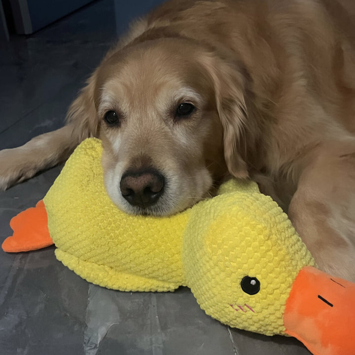 Quacking Duck Dog Toy | Pet-Safe Interactive Chew &amp; Tug Toy | Relieves Boredom, Anxiety and Excess Energy in Dogs 5