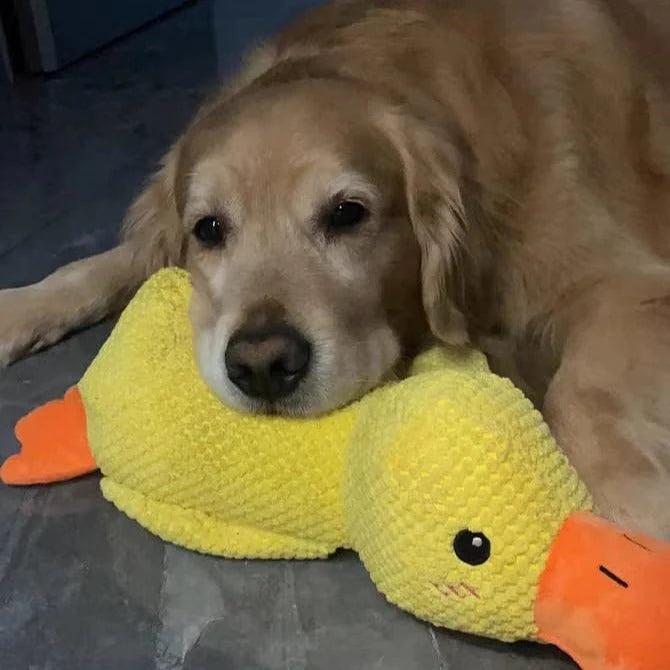 Duck Dog Durable Toy | Squeaky Textured Comfort Duck