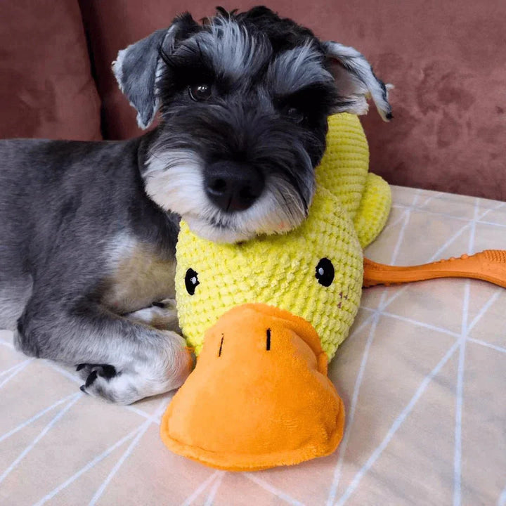 Duck Dog Durable Toy | Squeaky Textured Comfort Duck