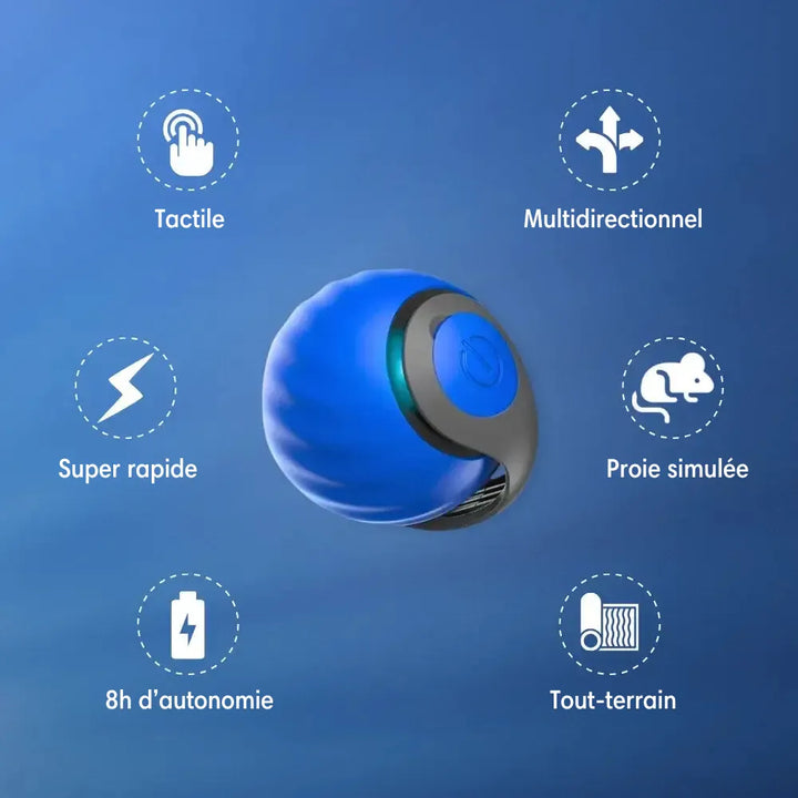 Interactive Motion Ball Pet Toy | Random-Moving Fabric Tail Mimics Prey | Rechargeable USB Battery, Silent Motor 3